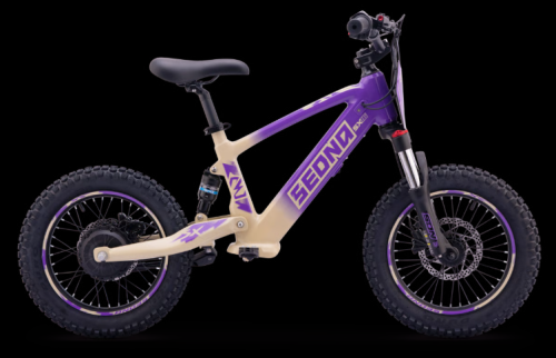 Elektro Apollo Fahrrad Sedna SX16"